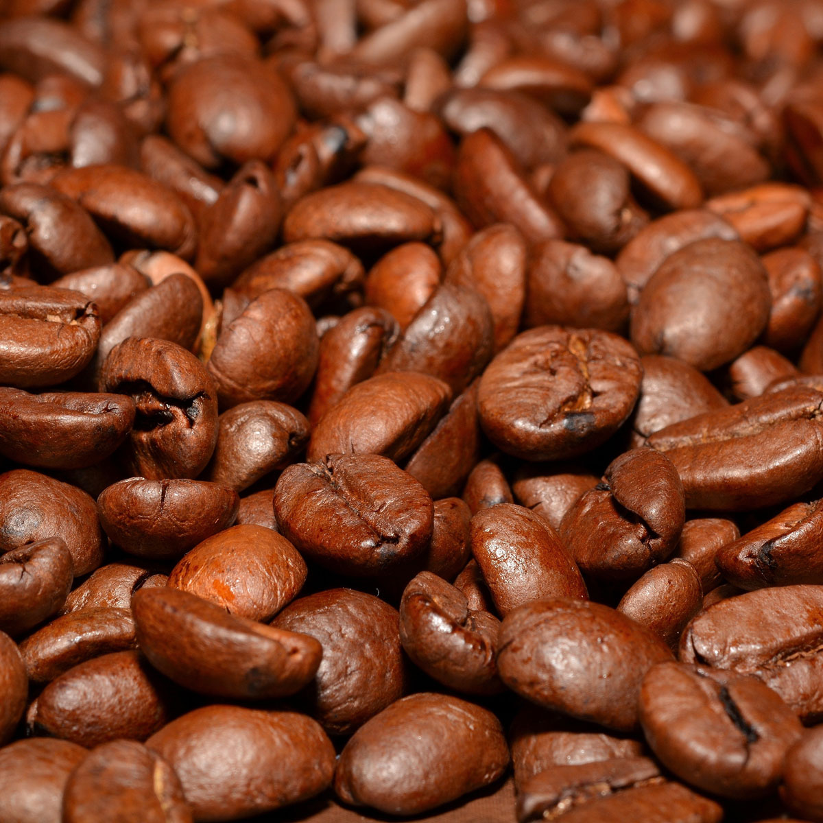 medium bean